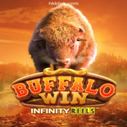 Exploring BuffaloWin on HKK.cc: The Premiere Official Slots Platform in Brazil